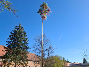 Neuhlídali májku a případ nahlásili policii, město schytává drsnou kritiku