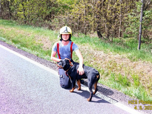Tři lidé se zranili při drtivém střetu dvou aut. Hasiči vyprošťovali i fenku