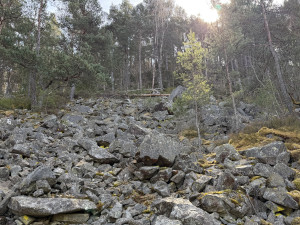 Skrytý klenot Šumavy. Málo známá Maierova skála nabízí výhled, který vás překvapí