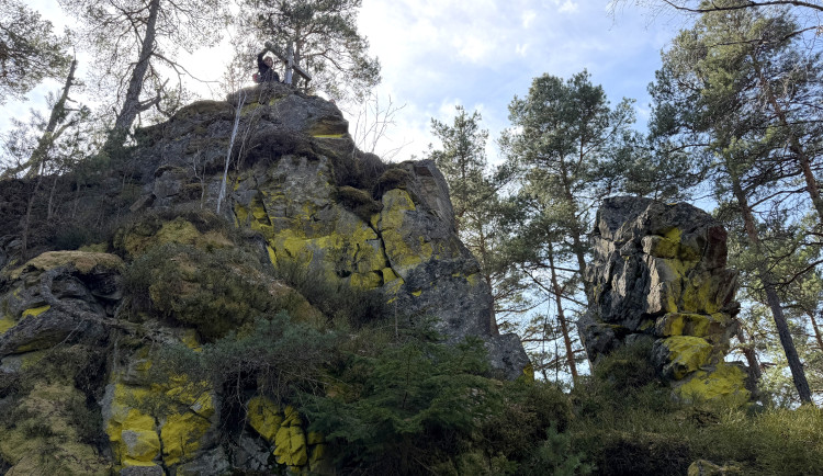 Maierova skála se nachází v lese nad Rejštejnem