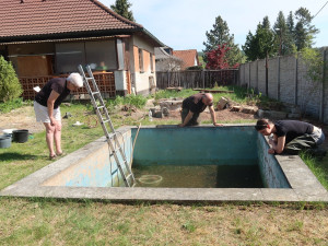 Při čištění starého bazénu objevili vzácné obyvatele. Následovala záchranná akce
