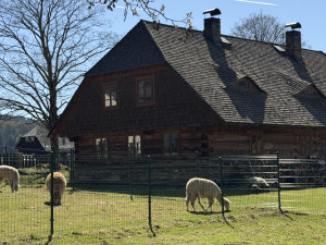U chalupy na Šumavě se prohánějí klokani, lamy i další zvířata. Vidět je může každý