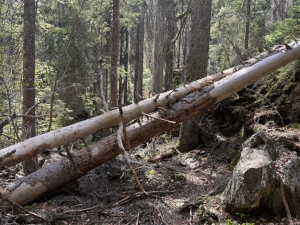Atraktivní cesta k vodopádu je znovu otevřená. Jiné trasy na Šumavě zůstávají uzavřené