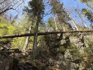 Atraktivní cesta k vodopádu je znovu otevřená. Jiné trasy na Šumavě zůstávají uzavřené