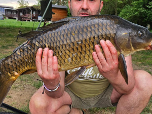 Kapitální kapři na Hracholuskách po bouřkách ožili. Rybáři hlásí jeden úlovek za druhým