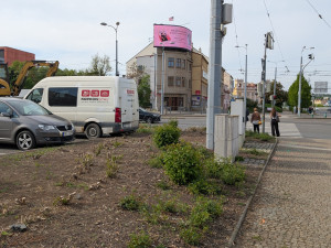 Ostudné sady Pětatřicátníků prochází proměnou za 25 milionů, přibydou stromy i záhony