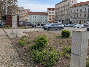 Ostudné sady Pětatřicátníků prochází proměnou za 25 milionů, přibydou stromy i záhony