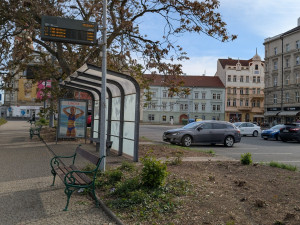 Ostudné sady Pětatřicátníků prochází proměnou za 25 milionů, přibydou stromy i záhony