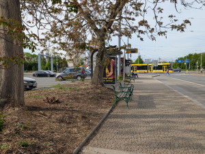 Ostudné sady Pětatřicátníků prochází proměnou za 25 milionů, přibydou stromy i záhony