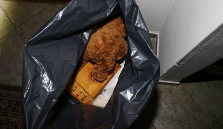 Policisté dopadli muže podezřelé z krádeží. Jeden si odnesl plyšáka i kráječ na pizzu