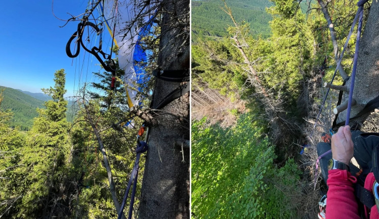 Dva paraglidisté zakončili lety v korunách vysokých stromů, kde zůstali viset