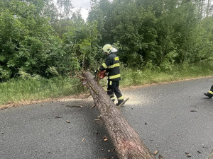 Do terénu v neděli vyjížděli například hasiči z Holýšova, foto: Hasiči města Holýšov