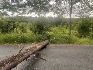 Do terénu v neděli vyjížděli například hasiči z Holýšova, foto: Hasiči města Holýšov