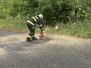 Do terénu v neděli vyjížděli například hasiči z Holýšova, foto: Hasiči města Holýšov