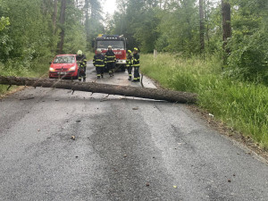 Do terénu v neděli vyjížděli například hasiči z Holýšova, foto: Hasiči města Holýšov