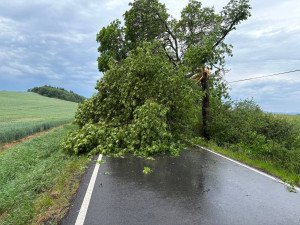 Do terénu v neděli vyjížděli i hasiči z Horšovského Týna, foto: SDH Horšovský Týn