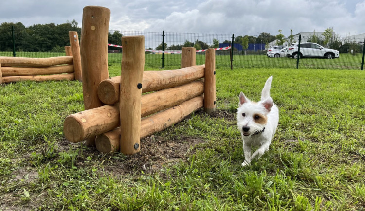 Psí park, lezecký boulder nebo cykloboxy. Opavané vybírají z návrhů pro participativní rozpočet