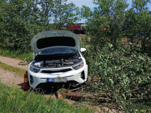 Po střetu s kamionem zmizelo odražené auto v hustém porostu, kde přerazilo strom
