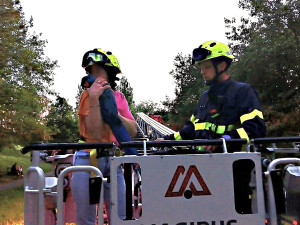 Papoušek uletěl na vysoký strom. Do akce šla s hasiči i jeho odvážná majitelka