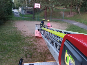 Papoušek uletěl na vysoký strom. Do akce šla s hasiči i jeho odvážná majitelka