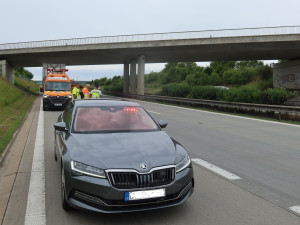 Dramatická záchranná akce na dálnici D5. Zraněného daňka lovili mezi svodidly