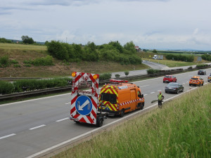 Dramatická záchranná akce na dálnici D5. Zraněného daňka lovili mezi svodidly
