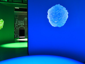 Expozice surovin v Plzeňském Prazdroji 1