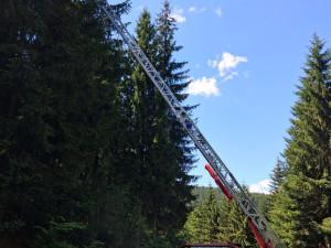 Česká paraglidistka se zřítila do lesa. Z vrcholku stromu ji zachraňovali němečtí hasiči