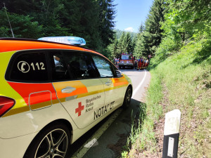 Česká paraglidistka se zřítila do lesa. Z vrcholku stromu ji zachraňovali němečtí hasiči
