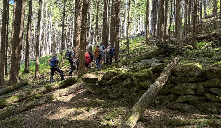 ilustrační foto - turisté na Šumavě