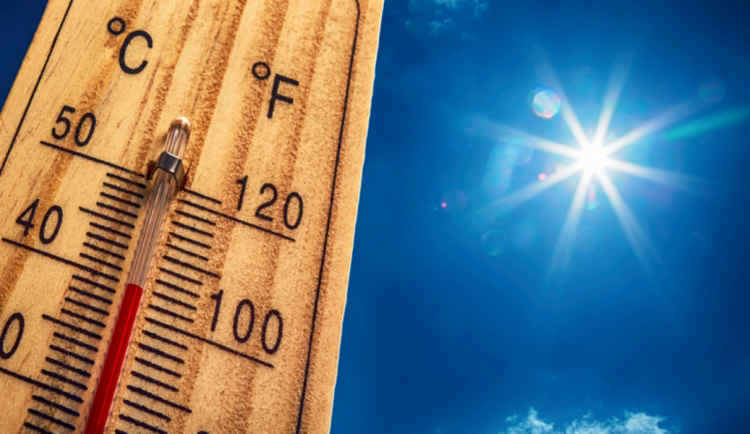 Vedro úřaduje, veliký zájem o ventilátory a klimatizace, minimální o sporty