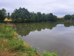 Problém s úhynem ryb řeší i Malesice, foto: Aleš Tolar