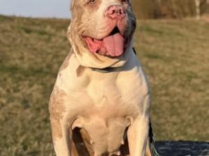 Daisy našla přes inzerát na internetu, teď u ní řeší vážné zdravotní problémy