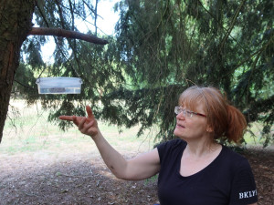 Do batohu si žena naloží sedm litrů vody a vyráží v horku do parku pomáhat zvířatům