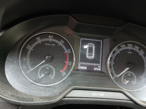 Lidmi vysmívané auto strážníků se vydražilo za trojnásobek vyvolávací ceny