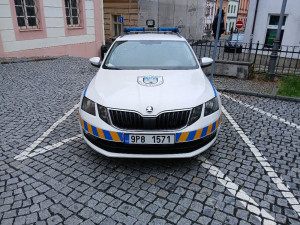 Lidmi vysmívané auto strážníků se vydražilo za trojnásobek vyvolávací ceny