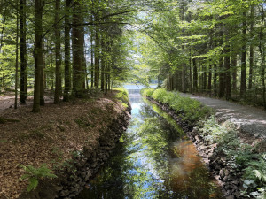 Jen pár kilometrů za hranicemi najdete divokou a romantickou šumavskou soutěsku
