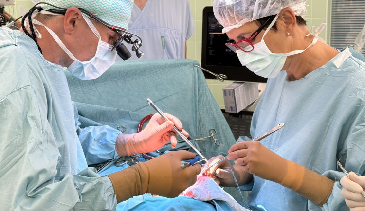 Deset let od milníku. Brněnská lékařka jako první žena v Česku transplantovala srdce
