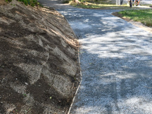 V populárním Košuteckém jezírku se zlepšuje kvalita vody díky postupným opatřením