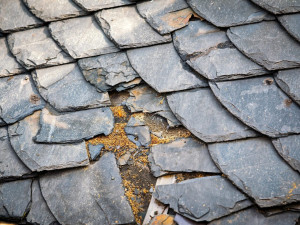 Střecha katedrály je v katastrofálním stavu. Na opravu může přispět i veřejnost