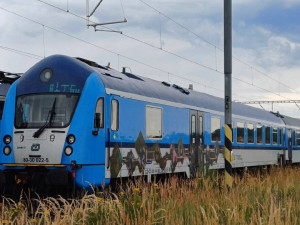 Policie řeší několik případů sprejerství, ve městě je přitom desítka legálních ploch
