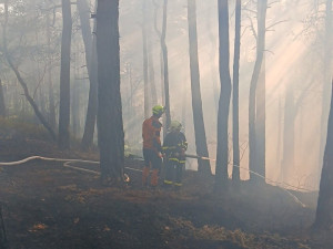 Foto: HZS Plzeňského kraje