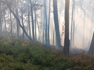 Foto: HZS Plzeňského kraje