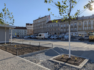 Dříve ostudné Sady Pětatřicátníků procházejí proměnou. Přibyly už stromy i záhony