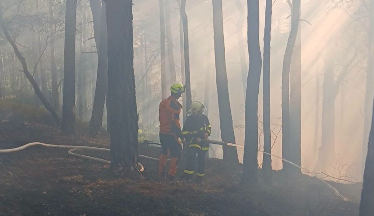 Hasiči v úmorném vedru bojují s požárem lesa na Šumavě, oheň odřízl část hasičů