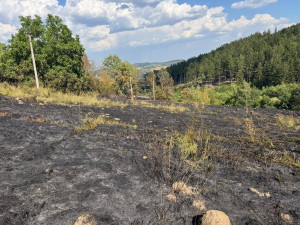 Hasiči v úmorném vedru bojují s požárem lesa na Šumavě, oheň odřízl část hasičů