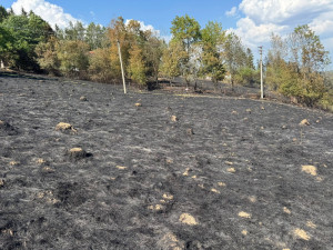 Hasiči v úmorném vedru bojují s požárem lesa na Šumavě, oheň odřízl část hasičů
