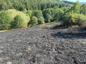 Hasiči v úmorném vedru bojují s požárem lesa na Šumavě, oheň odřízl část hasičů