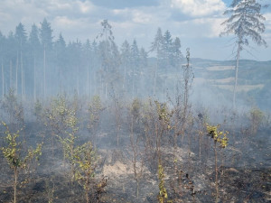 Hasiči v úmorném vedru bojují s požárem lesa na Šumavě, oheň odřízl část hasičů