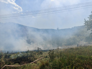 Výstraha před požáry stále platí, přesto lidé v lese stále rozdělávají oheň
